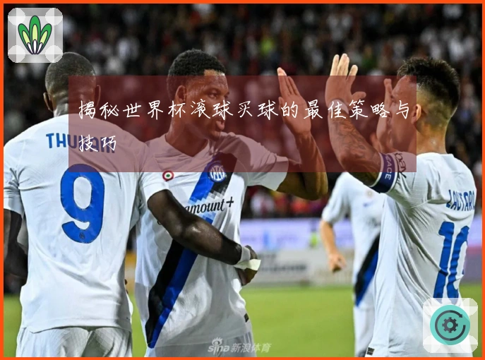 揭秘世界杯滚球买球的最佳策略与技巧