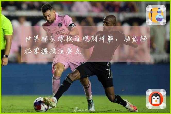 世界杯买球投注规则详解，助你轻松掌握投注要点