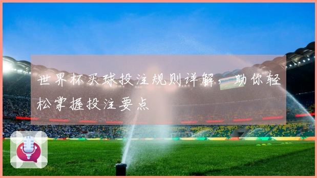 世界杯买球投注规则详解，助你轻松掌握投注要点