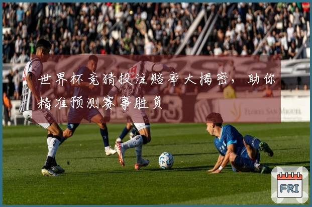 世界杯竞猜投注赔率大揭密，助你精准预测赛事胜负