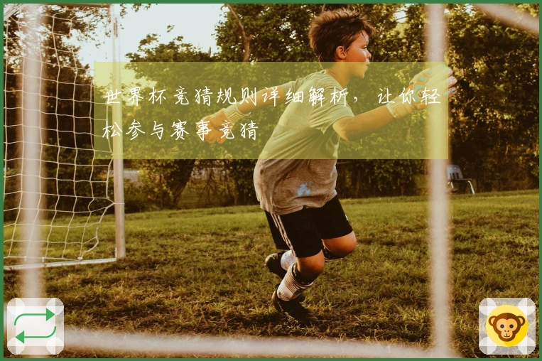世界杯竞猜规则详细解析，让你轻松参与赛事竞猜